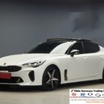 2017 Kia Stinger 2.0L Turbo Platinum