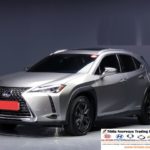 2019 Lexus UX250h 2.0L