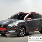 2019 Hyundai Kona 1.6T 4WD Iron Man Edition